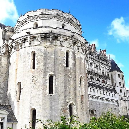 En Plein Coeur : Charmant Gite Centre Amboise Luaran gambar