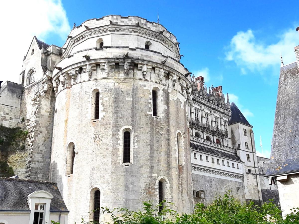 En Plein Coeur : Charmant Gite Centre Amboise Luaran gambar