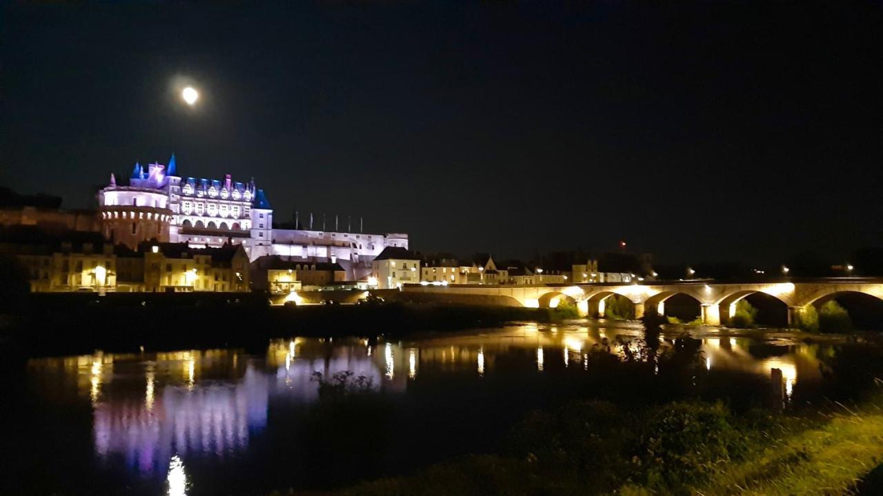 En Plein Coeur : Charmant Gite Centre Amboise Apartment Luaran gambar